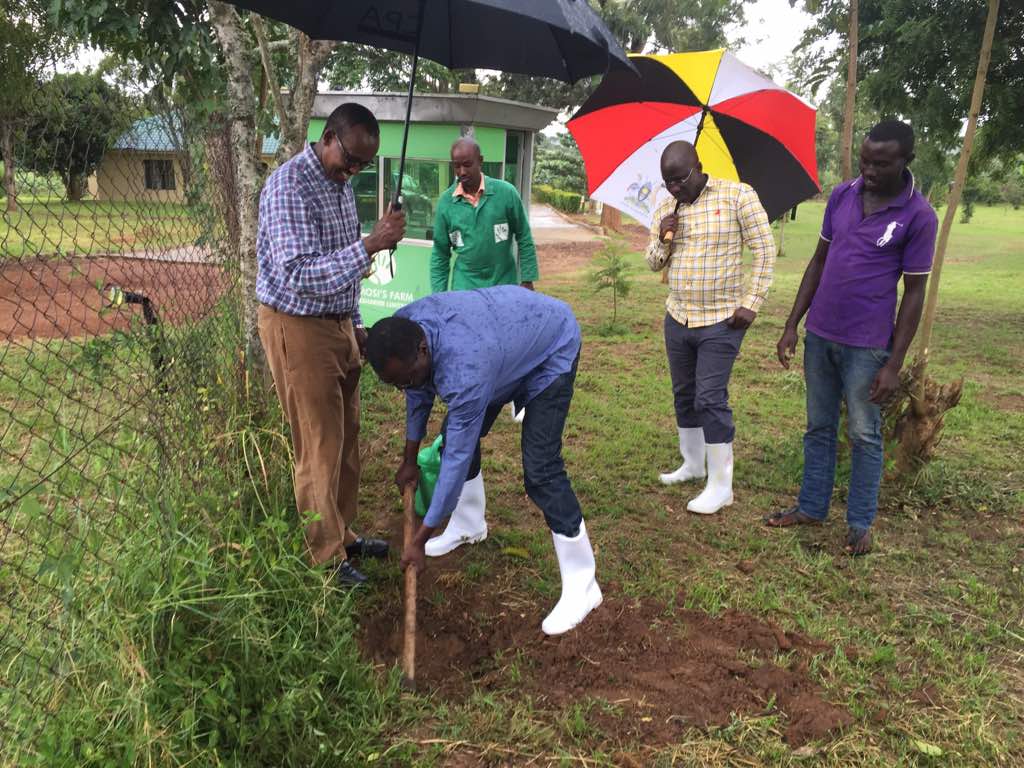 Tomosi Group Board At The Farm Tomosi Group Board At The Farm