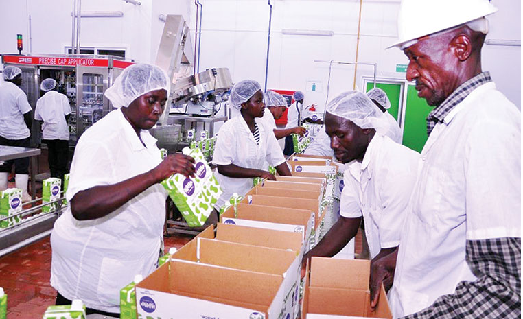 How new dairy company has transformed lives in Rushere How new dairy company has transformed lives in Rushere