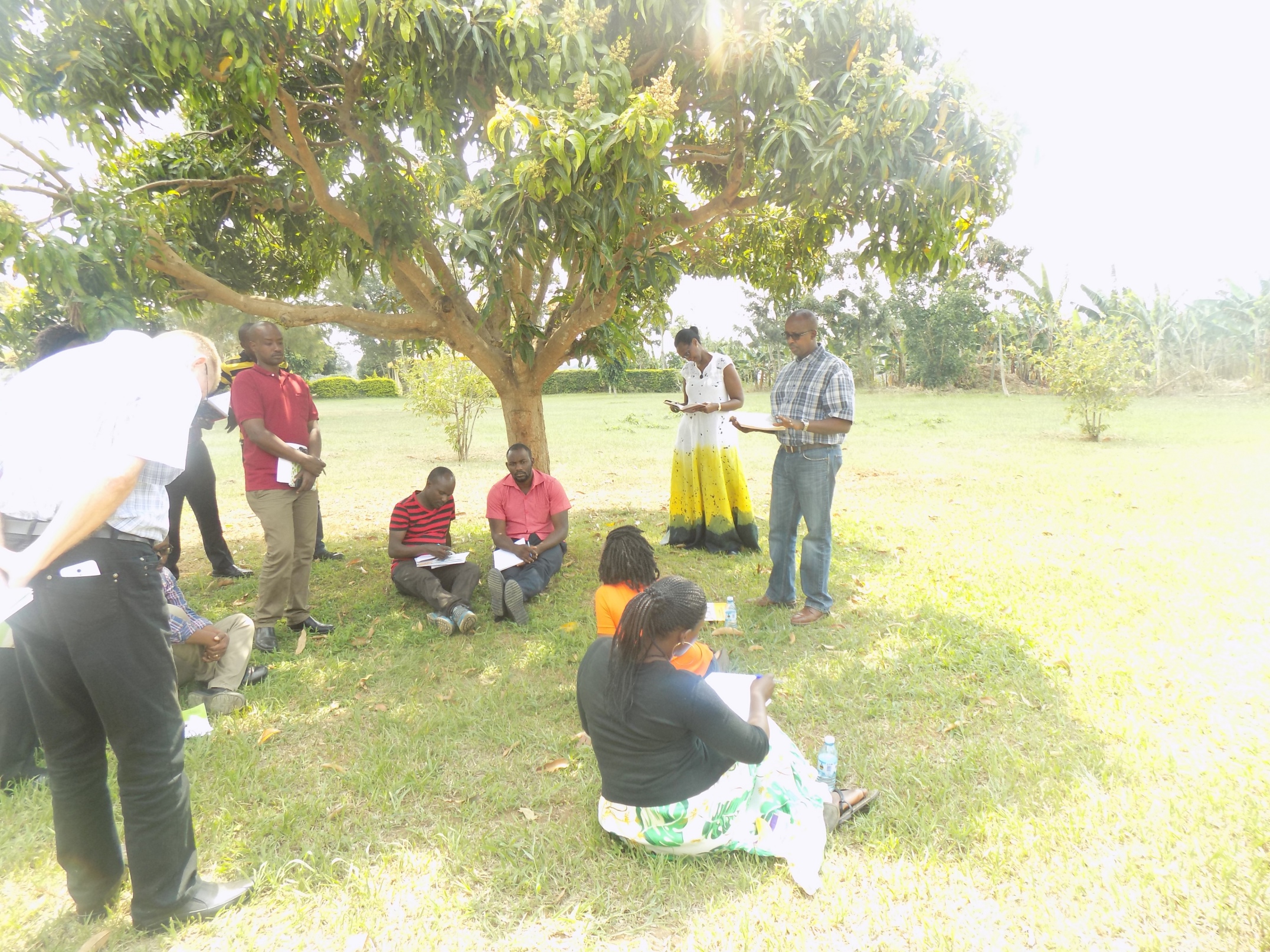 Tomosi Group Holds Annual Retreat 2017 At Tomosi's Farm Tomosi Group Holds Annual Retreat 2017 At Tomosi's Farm