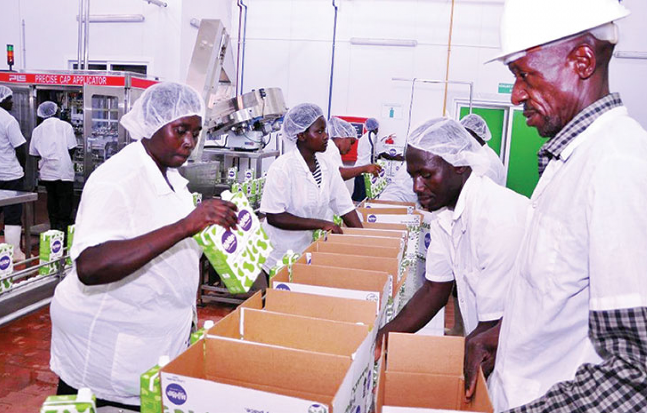 How new dairy company has transformed lives in Rushere